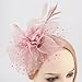DRESHOW Fascinators Hat Feather Headband Women's Fascinators Tea Party Headwear with Clip Derby Hat for Girls & Women