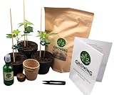 Growing Corp. Cannabis Anbau Starter-Kit/Set für drei Gras/-Weed Pflanzen inkl. Anbauanleitung und Zubehör