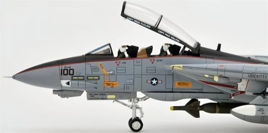 F14 VF154 センチュリーウイングス F-14A TOMCAT VF-154 BLACK KNIGHTS NF100 2003 (Normal Version