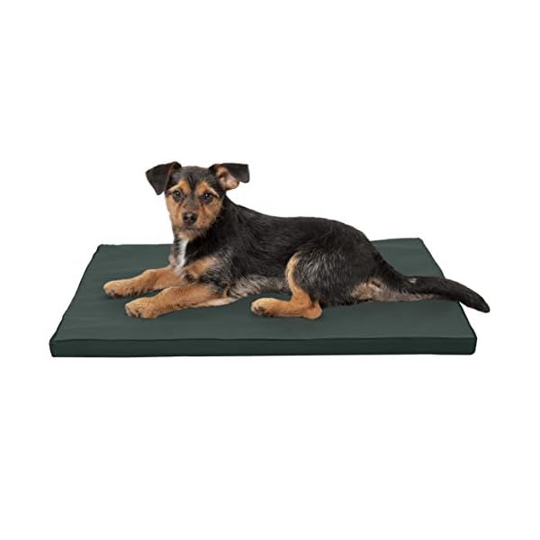 Furhaven-X-Small-Dog-Bed-Water-Resistant-Two-Tone-Kennel-Crate-Pad-w-Removable-Washable-Cover-GreenGray-Extra-Small Furhaven X-Small Dog Bed Collection - Luxury and Comfort for Small Dogs