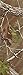 Realtree Mountain Series for Him 3.4oz EDT Spray
