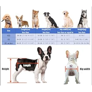 Full Support Dog Wheelchair 4 Wheels, Small/Medium Pet Trolley for 11-26 Lbs Dogs, Light Weight Metal Disabled Rehabilitation Assist Cart (Size : Size Xs), 78634 Full Support Dog Wheelchair 4 Wheels, Small/Medium Pet Trolley for 11-26 Lbs Dogs, Light Weight Metal Disabled Rehabilitation Assist Cart (Size : Size Xs), 78634