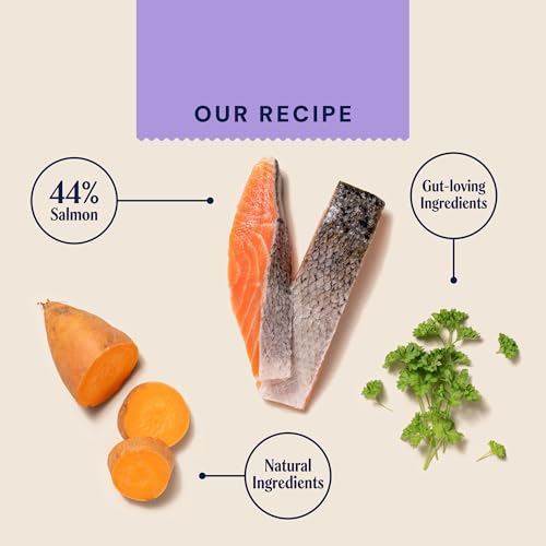 Pooch & Mutt - Health & Digestion, Complete Dry Dog Food (Grain Free), Salmon and Sweet Potato, 2kg - 7