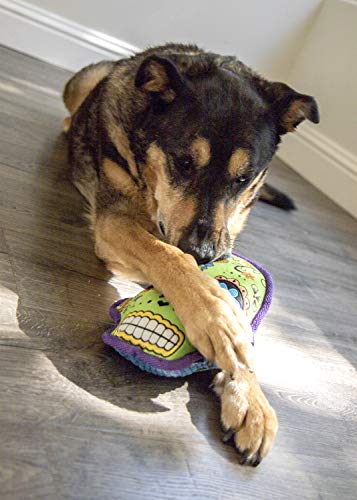 Godog Sugar Skulls With Chew Guard Technology Squeaker Dog Toy, Green, Large (094347) #TOP6