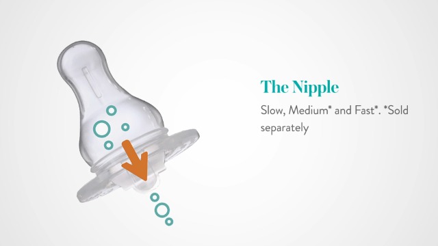 Amazon.com : Evenflo Feeding Replacement Parts Breastfeeding Kit for  Hospital Strength Advanced Double Electric Breast Pump : Baby