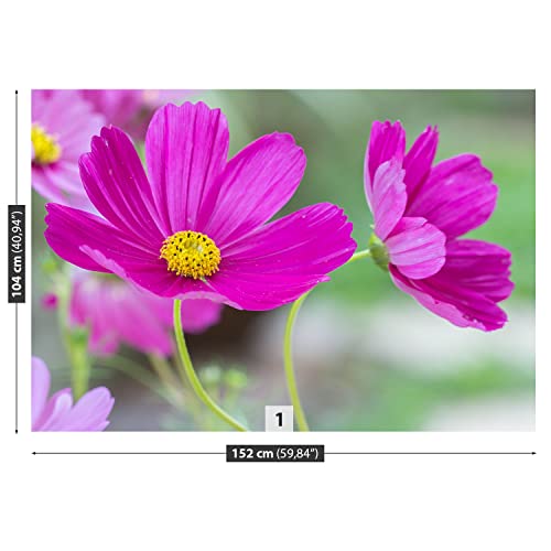 Papier peint fleurs d'espace Tulup solution décoration murale moderne contre les murs ternes - 7
