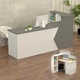 Empfangstheke Rezeptionstheke Verkaufstresen aus Holz mit Stauraum – 100–300 cm Langer Kassentisch Theke für Büro Praxis Friseursalon Kosmetikstudio Laden Empfangsbereich Beratung