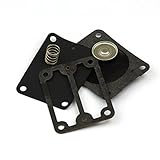 Briggs & Stratton 693502 Fuel Pump Kit Replacement Part