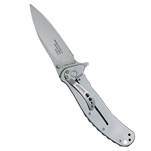 Kershaw Zing Pocket Knife (1730Ss); 3" High-Performance 8Cr13Mov Stainless Steel Blade, 410 Stainless Steel Handle, Bead-Blasted Finish, Speedsafe Assisted Opening, Reversible Pocketclip; 3.3 Oz #TOP2