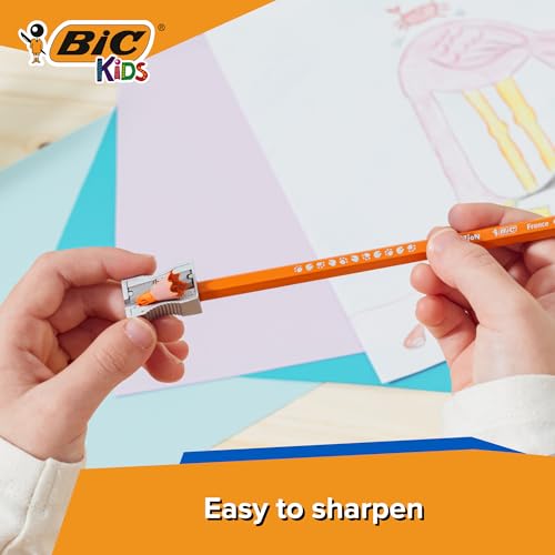 BIC Evolution Colouring Pencils for Kids - Coloured Pencils Great for Kids Colouring Books - Pack of 12