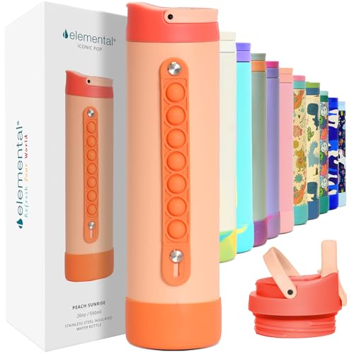 Elemental Iconic 20oz Kids Insulated Water Bottle w/Straw & Pop-It Handle