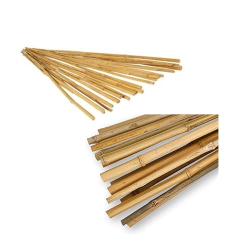 Peyca Pack 6 tutores bambú Natural 105cm + 6 tutores bambú Natura...