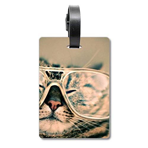 Lunette de chat avec photo d'animaux pour repérer facilement votre valise à l'aéroport