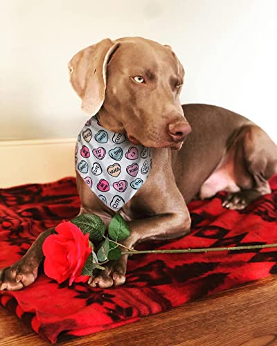 Valentines Dog Bandana, Heart Dog Bandana For Medium Large Dogs #TOP3