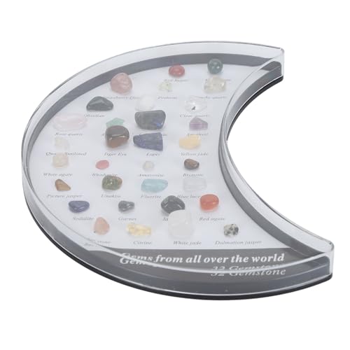 Dekaim Stein-Sammelset Für Kinder, Exquisites Naturwissenschafts-Klassenzimmer, Steine und Mineralien-Sammlung, Mineralien-pädagogisches Wissenschafts-Set(16.00 * 14.00 * 2.00cm)