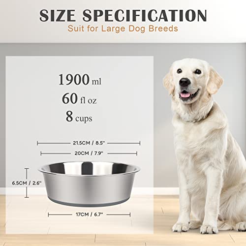 Joytale Ciotole per Cani, 2 Pezzi Ciotola per Cane...