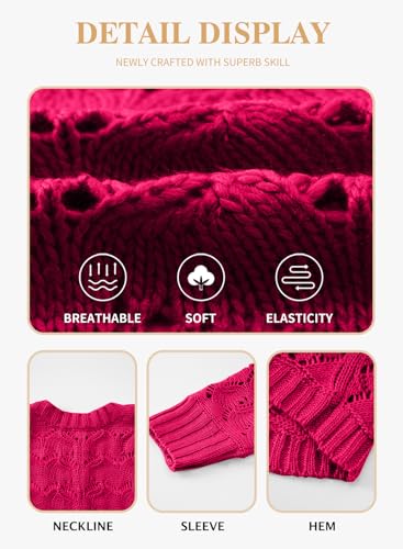 Image of Eytino Womens Plus Size Crochet Cardigan Sweater Long Sleeve Hollow Out Open Front Cardigans Outwear(1X-5X)