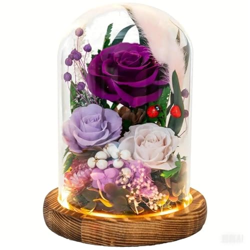 HUACHIPLUS Forever Flower Gifts for MOM:Perfect Mothers Day Flowers for Mom Wife Grandma-Preserved Flower with Symbolic Ladybugs–Flowers for Delivery Prime on Anniversary Birthday (Purple)