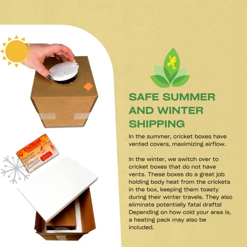 Josh's Frogs 1" Large Adult Banded Crickets (250 Count) #TOP3