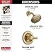 Delta Faucet Lahara 17 Series Dual-Function Shower Trim Kit with 5-Spray Touch-Clean Shower Head, Champagne Bronze T17238-CZ (Valve Not Included)