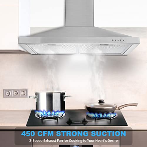 Wall Mount Range Hood 30 inch with Ducted/Ductless Convertible Duct, Stainless Steel Chimney-Style Over Stove Vent Hood with LED Light, 3 Speed Exhaust Fan, 450 CFM