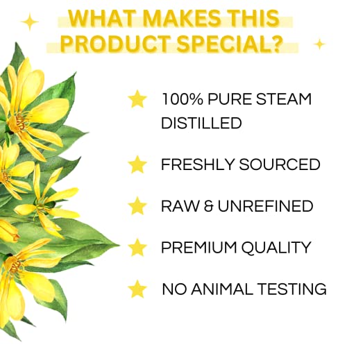 Image of Ylang Ylang Essential Oil - Therapeutic Grade For Skin & Hair Care & Aromatherapy- 15Ml