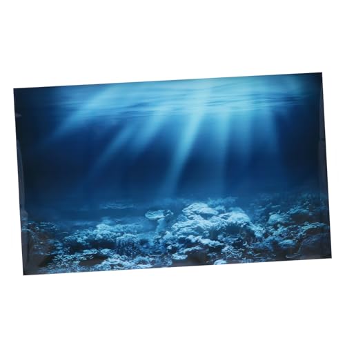 Uonlytech Kit De 3 Pegatinas Para Fondo De Pecera Limpiador De Grava Para Acuario Soporte Para Tapa Pared Vegetal Piscina Panel Desincrustador De Aire Decoración Soporte Para