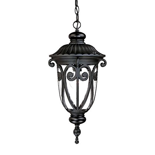 Acclaim 2116Bk One Light Outdoor Hanging Lantern, Black #TOP20