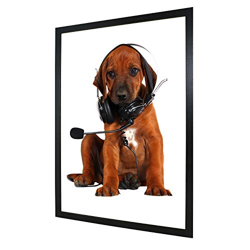 Bilderrahmen 33x98 cm schwarz Deko Rahmen ohne Bild 13x18 30x40 50x70 oder a4 a3 Fotorahmen Wechselrahmen aus Holz mehrere Farben wählbar Bilderrahmen für Foto oder Bilder Galeria53 Rahmen Cover