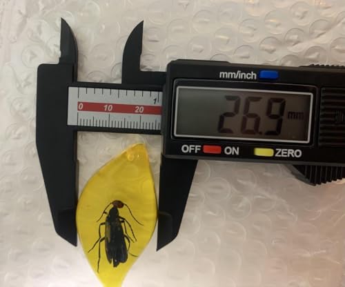 ߉Ύ ߕ y_g W{ lbNX ANZT[