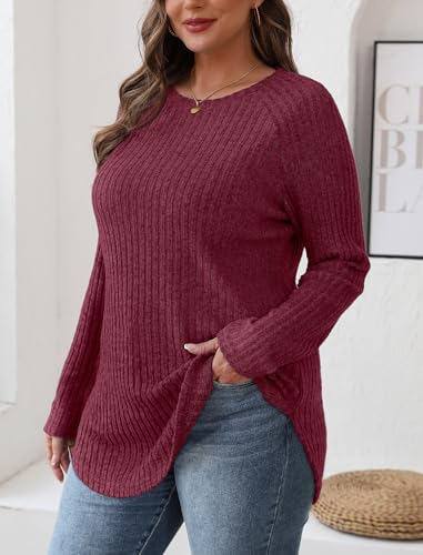 Image of Saloogoe Long Sleeve Shirts for Women 2025 Fall Clothes Tunic Tops Loose Fit Dressy Crewneck Pullover Sweaters Curved Hem