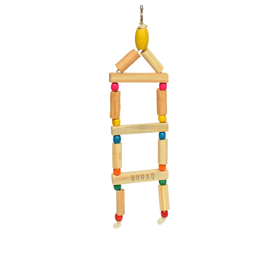 BURAQ Birds Accessories Swing, Ladder,Chewing Hanging Toy,Ball for Love Birds Budgies Parrots Cockatiel Conure Finches Parakeet Suitable for All Types of Birds Cages (E Swing) (B09KRW42QX) Amazon Price History, Amazon Price Tracker