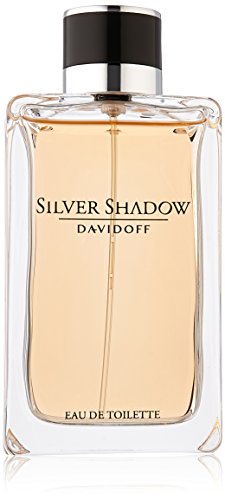 Preisvergleich Produktbild SILVER SHADOW Eau de Toilette Zerstäuber 100 ml