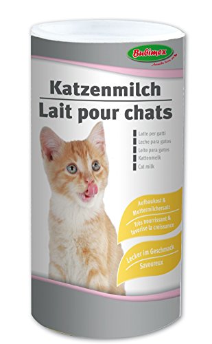 Bubimex Leche Friandise para Gato 250 g