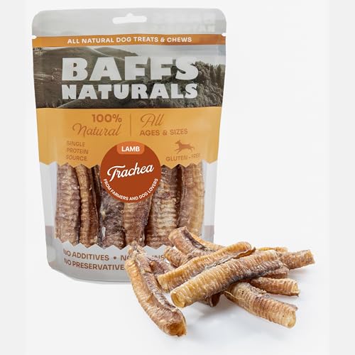 Baffs Naturals Lamb Trachea Treats for Dogs - 10 Count | Single Ingredient Dog Chews for Small & Medium Dogs | High Protein & Low Fat Dehydrated Chew | Gluten Preservatives Additive Free