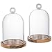 MyGift Mini Clear Glass Bell Display Cloches with Premium Acacia Solid Wood Base, Decorative Dome Cover Stands for Small Heirloom Jewelry Curios Keepsakes, Set of 2
