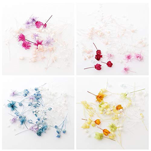 MokuMoku n[oE {[y ԍ t[Zbg (4Zbg(e2))