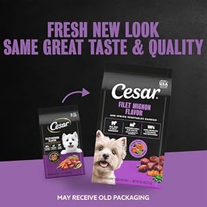 Cesar Small Breed Dry Dog Food, Filet Mignon & Spring Vegetable, 5 lb — photo 2 of 6