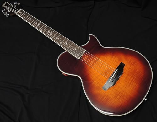 Amazon | ARIA APE-100 TS 薄胴 エレアコ エレクトリック