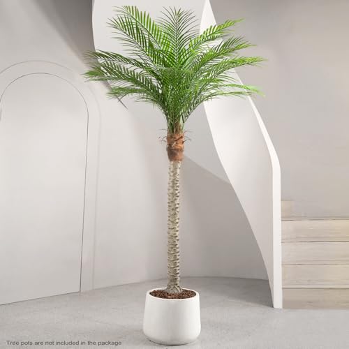 Image of Vitalismo Artificial Phoenix Palm Tree 8ft 2 Set Tall Outdoor /Indoor Decor