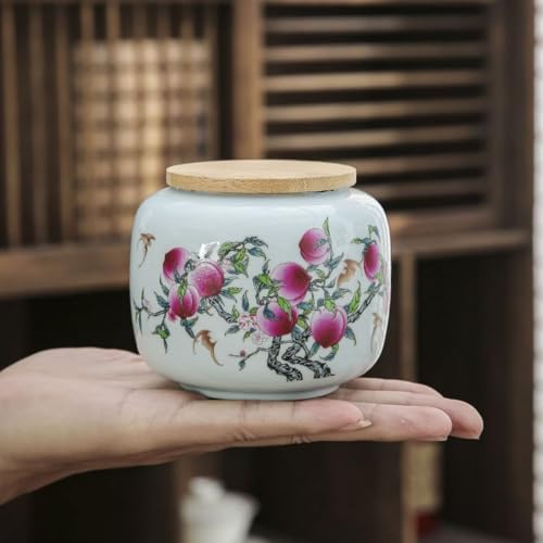 Juego de té Chino Kungfu de porcelana, el regalo ideal de cerámica con tarro doméstico
