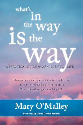 What's in the Way Is the Way: A Practical Guide for Waking Up to Life