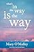 What's in the Way Is the Way: A Practical Guide for Waking Up to Life