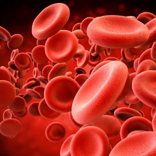 &iquest;Cu&aacute;l es la composici&oacute;n de la sangre?