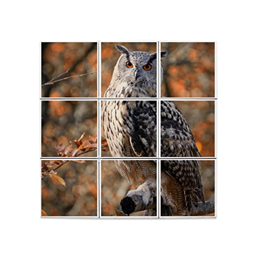 Carreaux céramique décoratif hibou pour remplacer un mur blanc et triste par un décor nature
