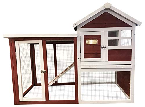 Advantek The Stilt House Rabbit Hutch