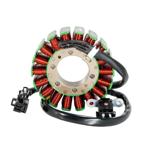 Bobine de stator d'alternateur pour SC250 2004-2006 21003-S009 pièce rechange moto