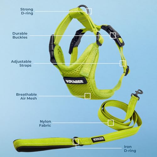 Image of Best Pet Supplies Voyager Step-in Lock Pet Harness w Reflective Pet Leash Combo Set with Neoprene Handle 5ft - Supports Small, Medium and Large Breed Puppies /Cats - Lime Green, XS