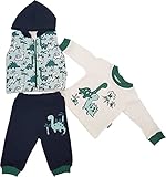 Coole Prints Generisch Baby Jungen Kleinkinder 3er Set Jogginganzug Trainingsanzug Sportanzug Thermo Fitness Hose Jogginghose 3 Teilig Größe 56 62 68 3M 6M 9M (74 (9M), Grün)