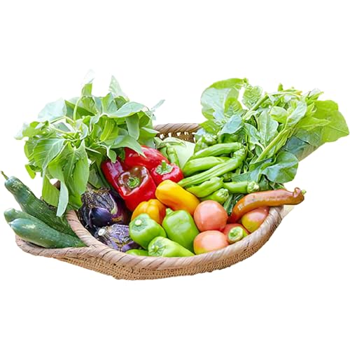 [てんとうむしばたけ]オーガニック野菜セット 有機野菜6〜7種(2人用)